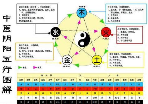 金生水意思|五行中為什麼是金生水？